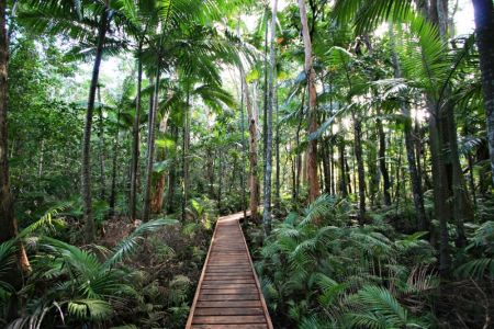 Cairns Botanic Gardens