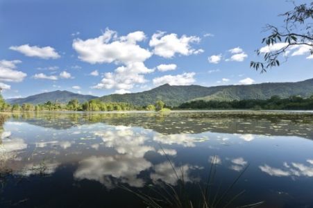 Cattana Wetlands