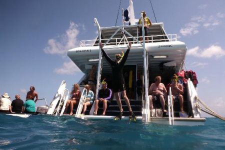 Seastar Cruises Reef Day Trips