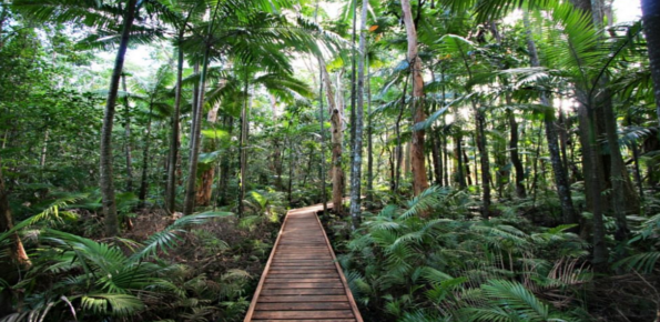 Cairns Botanic Gardens